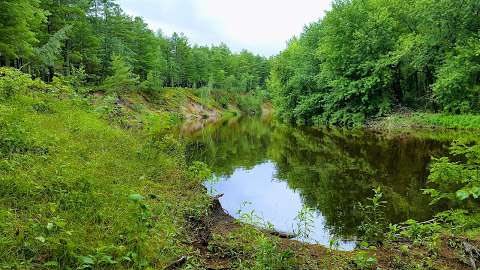 Jobs in Ausable Marsh Wildlife Management Area - reviews